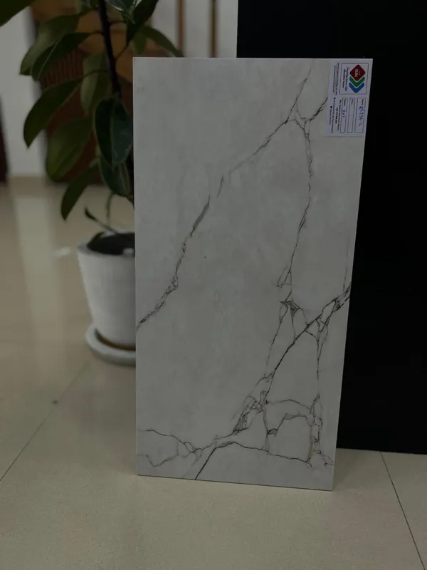 2x1 ft ceramic wall tile, design 14