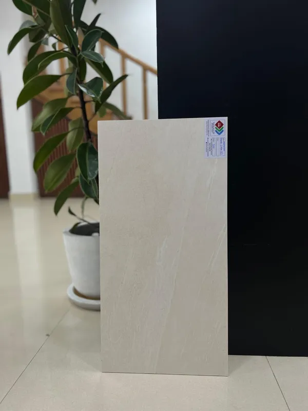2x1 ft ceramic wall tile, design 17