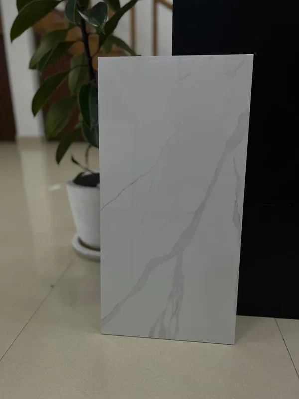 2x1 ft ceramic wall tile, design 23